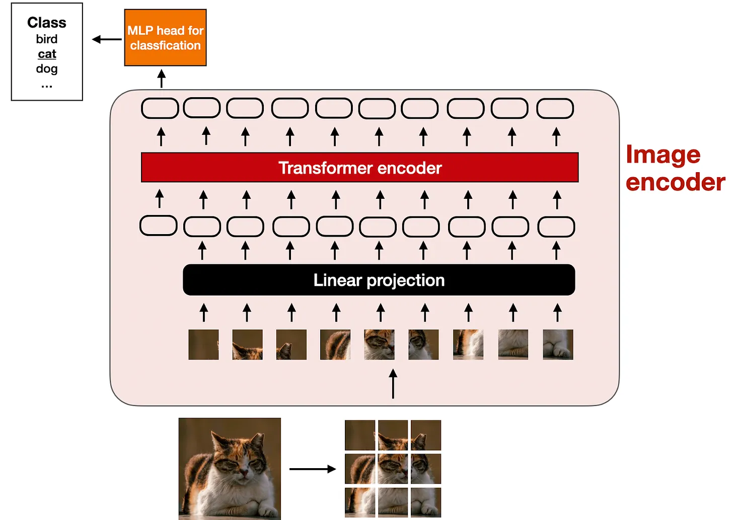 Image and Text Tokenization